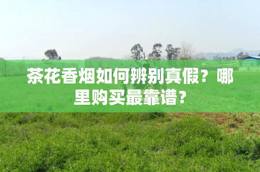茶花香烟如何辨别真假？哪里购买最靠谱？